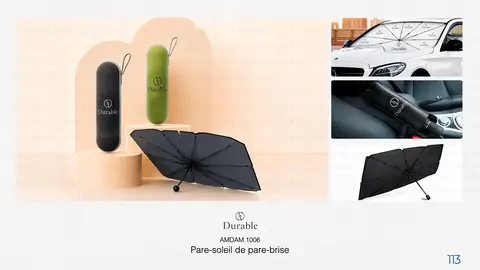 Pare-soleil de pare-brise